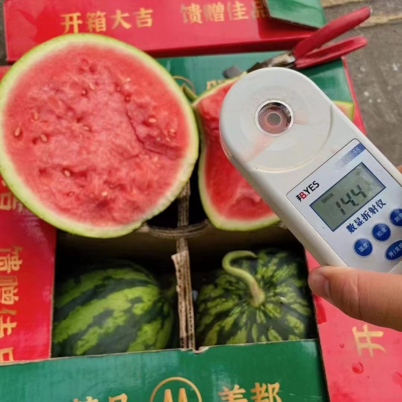 （实力）美都西瓜湖北美都西瓜皮薄肉甜一手货源