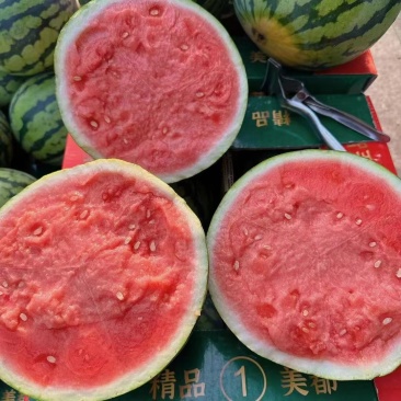 麒麟西瓜湖北西瓜大量有货品质好价格低质量三包