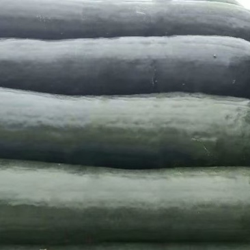 【热卖中】湖北黑皮冬瓜大量上市整车发货量大从优一手货源