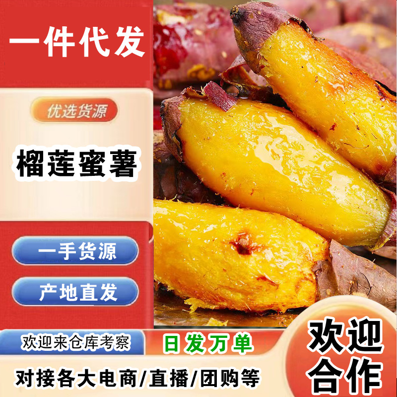 广西榴莲蜜薯一件代发产地直发一手货源对接各大电商平台