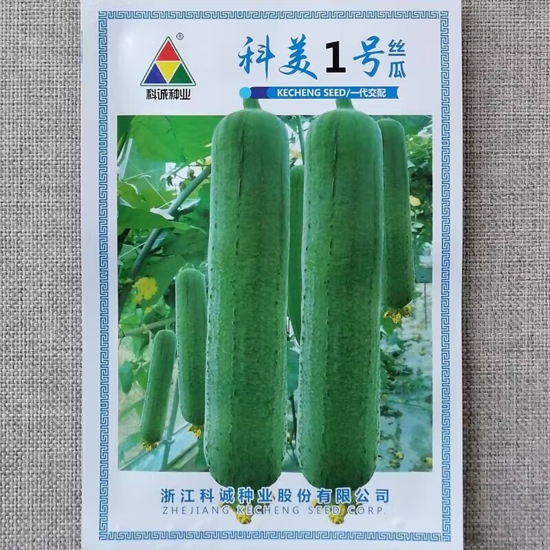 科美1号丝瓜种子杂交肉丝瓜种籽早熟高产抗病口感清香