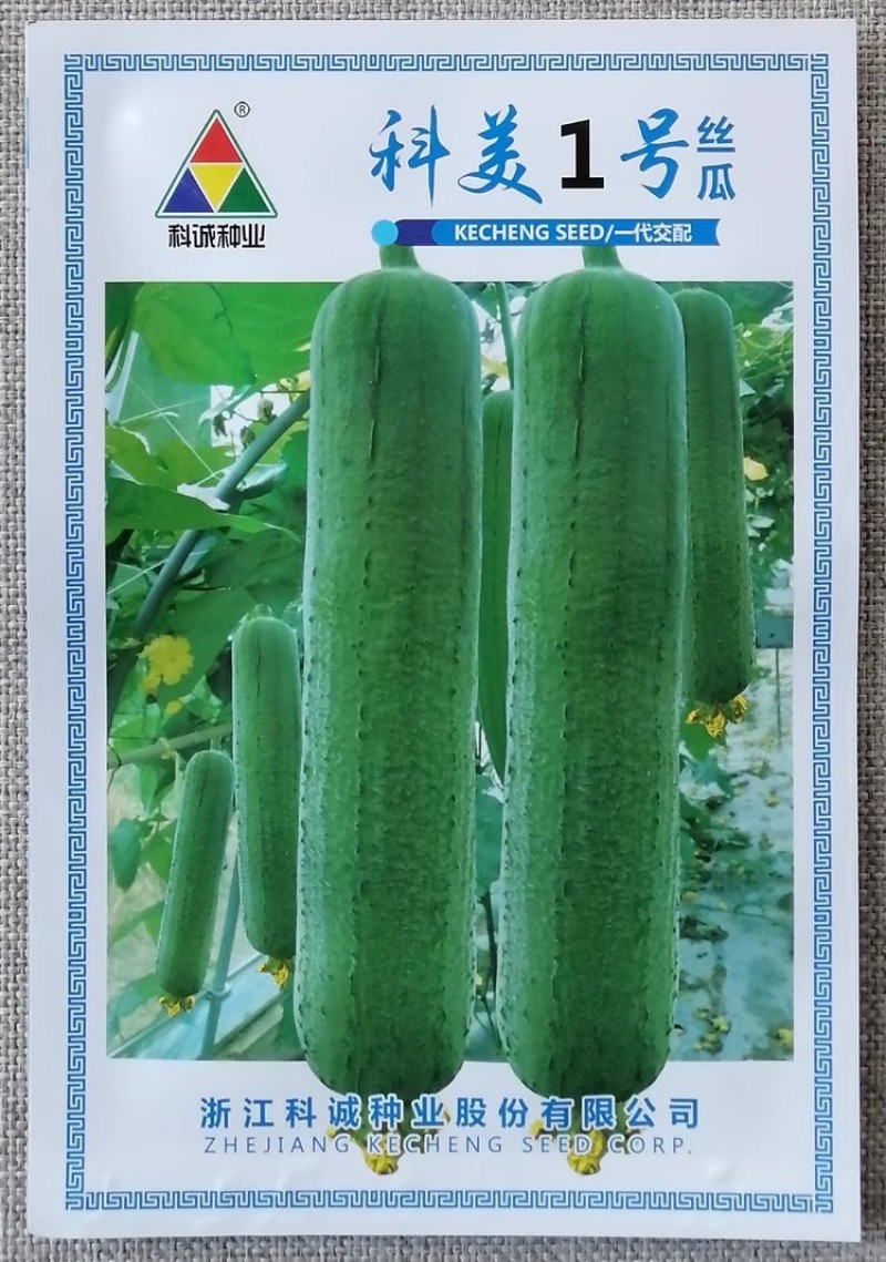 科美1号丝瓜种子杂交肉丝瓜种籽早熟高产抗病口感清香