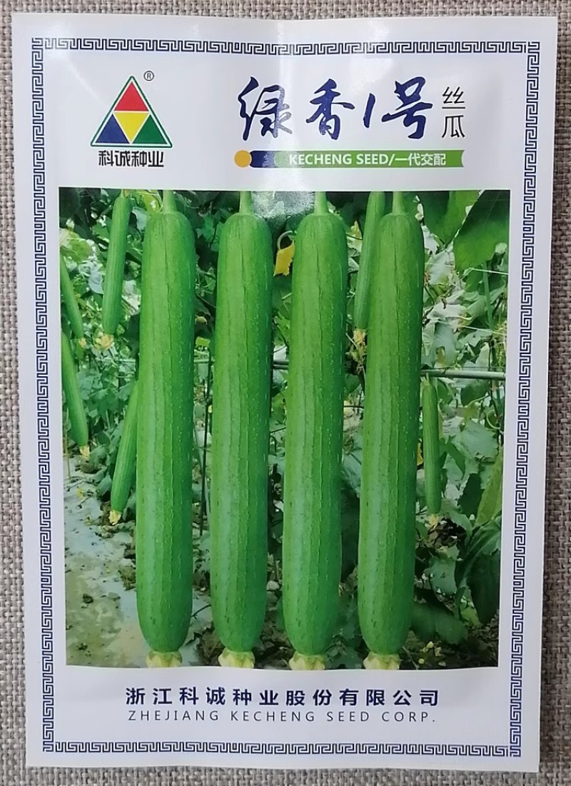 科美1号丝瓜种子杂交肉丝瓜种籽早熟高产抗病口感清香