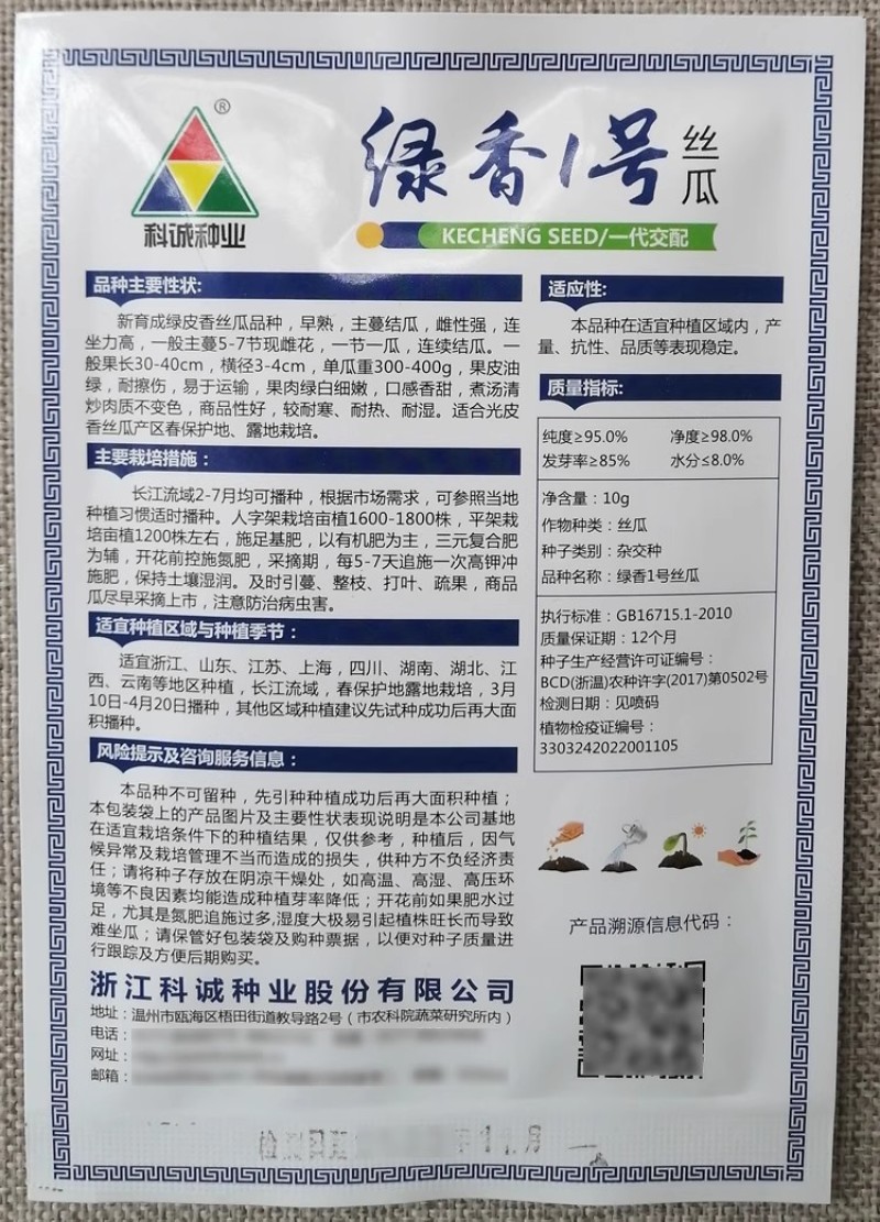 科美1号丝瓜种子杂交肉丝瓜种籽早熟高产抗病口感清香
