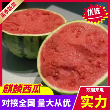 (实力)麒麟西瓜西瓜糖度高质量三包对接全国市场等