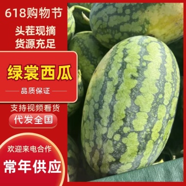 西瓜绿裳西瓜湖北绿裳西瓜湖北西瓜包熟包甜欢迎咨询