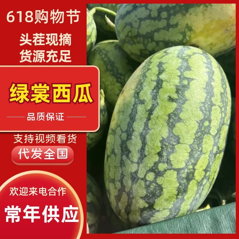 西瓜绿裳西瓜湖北绿裳西瓜湖北西瓜包熟包甜欢迎咨询