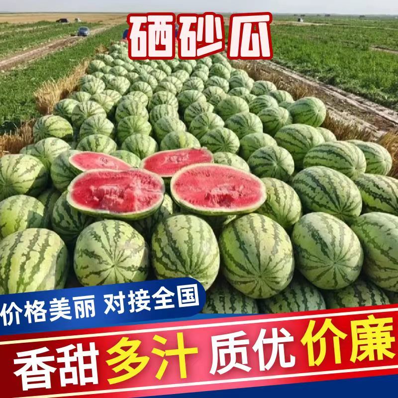 硒砂瓜湖北硒砂瓜湖北西瓜甜度高皮薄可视频看货