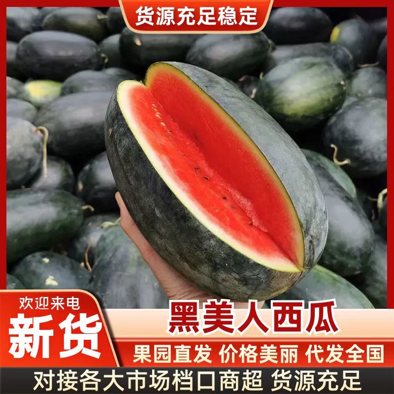 【黑美人西瓜】湖北黑美人西瓜包熟包甜对接全国市场电商