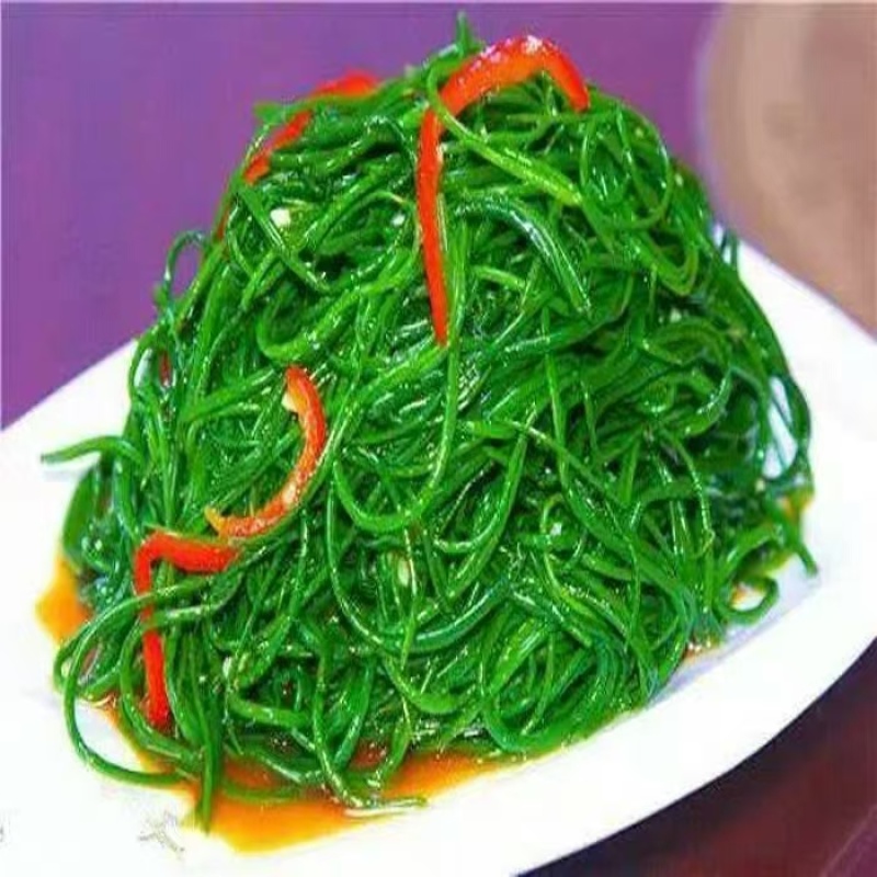 精品沙葱，品质保证，价格优惠，实力商家，产地直发