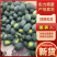 黑美人西瓜宜城西瓜产地直发质量三包对接全国等