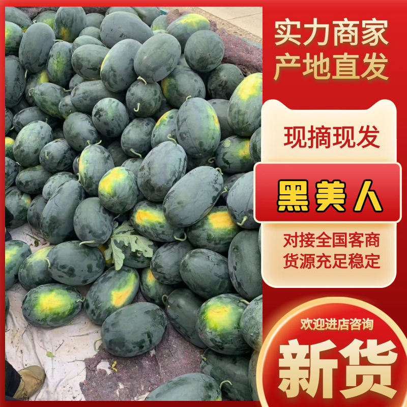 黑美人西瓜宜城西瓜产地直发质量三包对接全国等