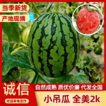 内蒙全美2k西瓜小吊瓜手剥西瓜大量供应一条龙服务