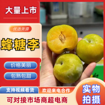 （蜂糖李）贵州蜂糖李，一件代发，规格齐全，对接电商市场