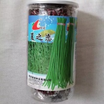 绿领夏之恋豆角种子耐热豇豆品种肉厚商品荚翠绿顺直