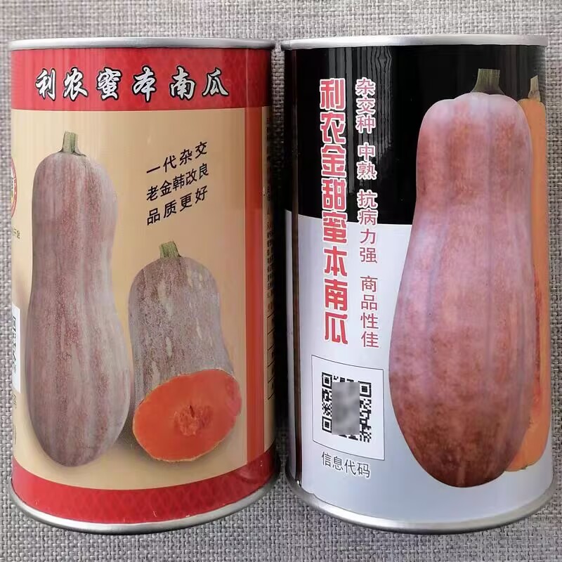 利农蜜本南瓜种子杂交大果金蜜优质高产中熟南瓜种籽瓜肉粉甜