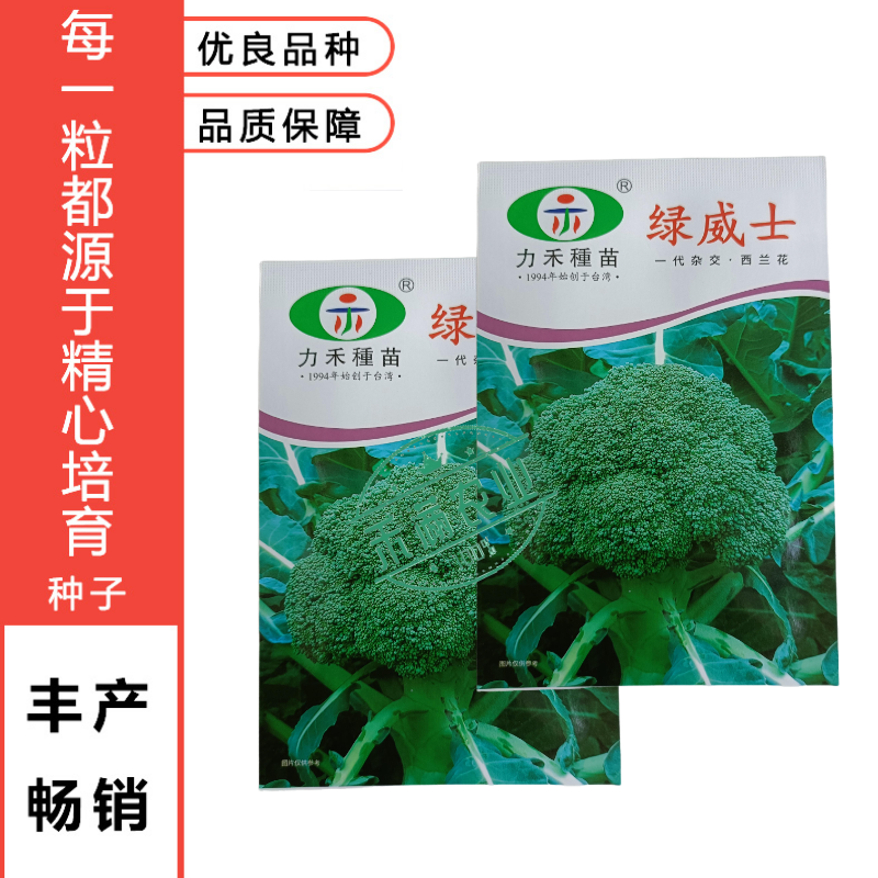【力禾种苗】绿威士西兰花种子春秋可播绿菜花基地优选西兰花