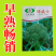 【力禾种苗】绿威士西兰花种子春秋可播绿菜花基地优选西兰花