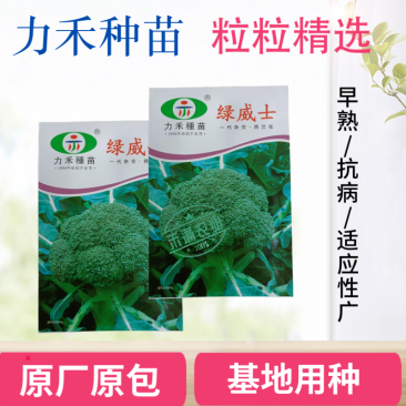 【力禾种苗】绿威士西兰花种子春秋可播绿菜花基地优选西兰花