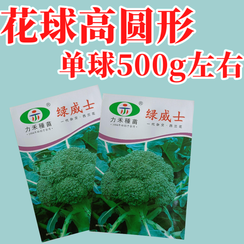 【力禾种苗】绿威士西兰花种子春秋可播绿菜花基地优选西兰花