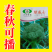 【力禾种苗】绿威士西兰花种子春秋可播绿菜花基地优选西兰花