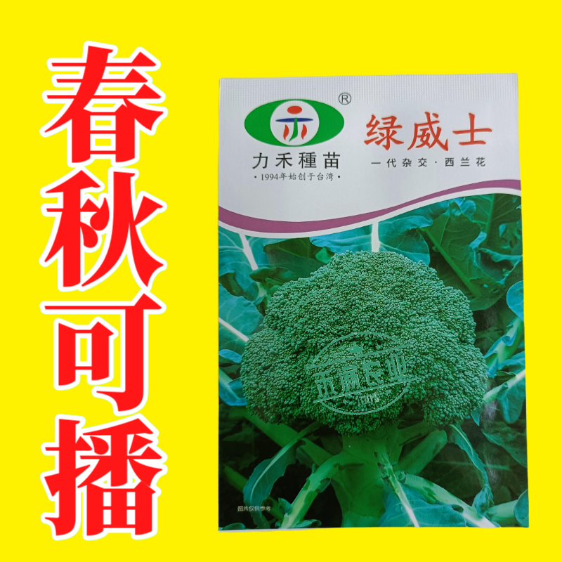 【力禾种苗】绿威士西兰花种子春秋可播绿菜花基地优选西兰花