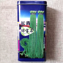 长青绿宝石豆角种子结荚多而密高产抗病绿条豇豆种籽