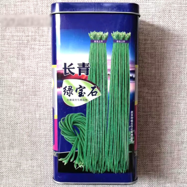 长青绿宝石豆角种子结荚多而密高产抗病绿条豇豆种籽
