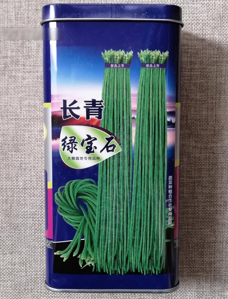 长青绿宝石豆角种子结荚多而密高产抗病绿条豇豆种籽