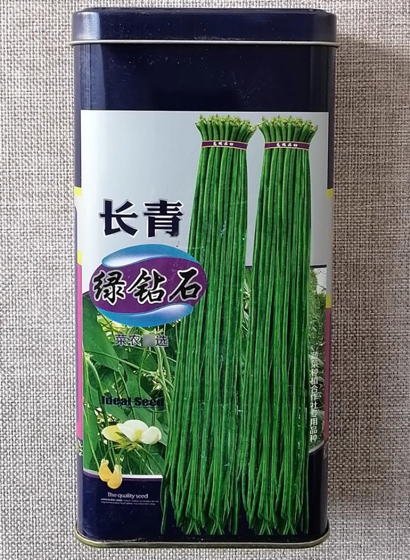 长青绿宝石豆角种子结荚多而密高产抗病绿条豇豆种籽