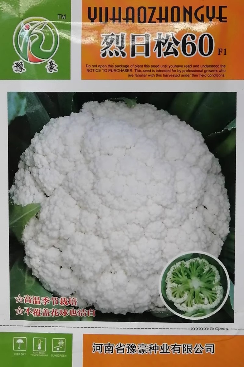 烈日松60松花菜种子耐热早熟高产耐高温花椰菜种籽