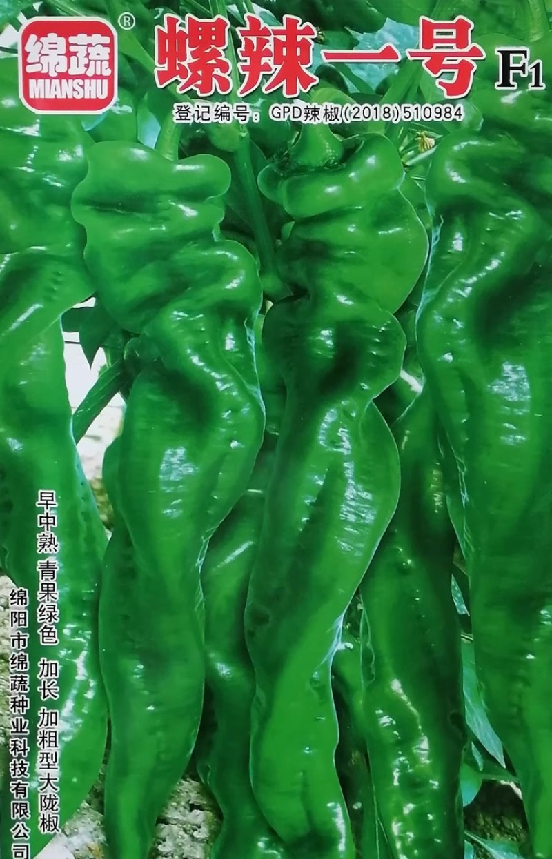 螺辣一号三号螺丝椒种子加长加粗高产大陇椒辣椒种籽果面微皱