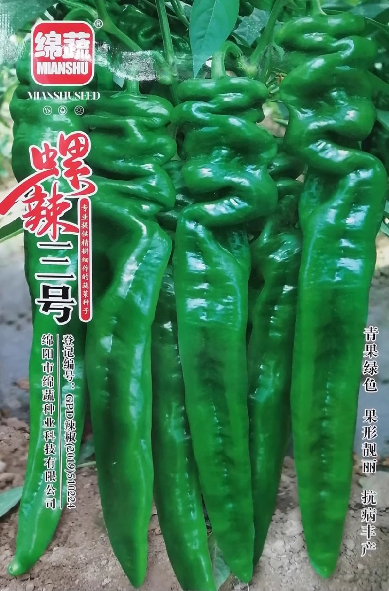 螺辣一号三号螺丝椒种子加长加粗高产大陇椒辣椒种籽果面微皱