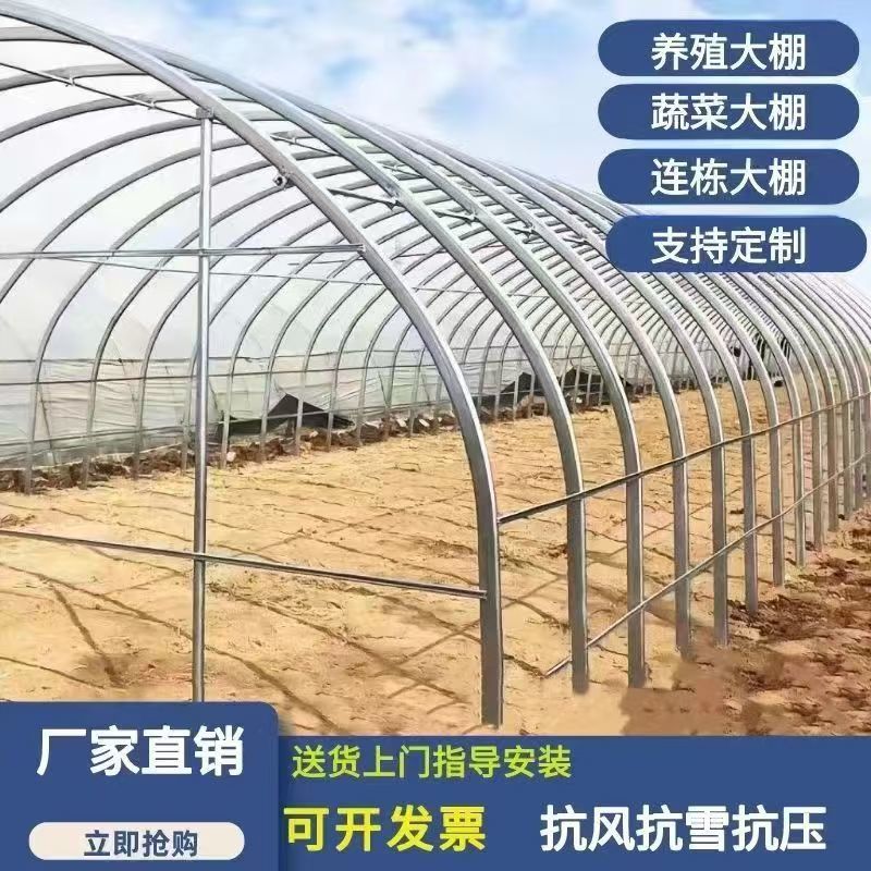 养殖大棚，蔬菜大棚大棚厂家蓝莓大棚，养猪大棚