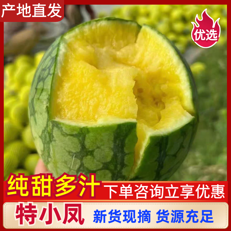 特小凤西瓜保质保量专业代办诚信合作可日供10万斤