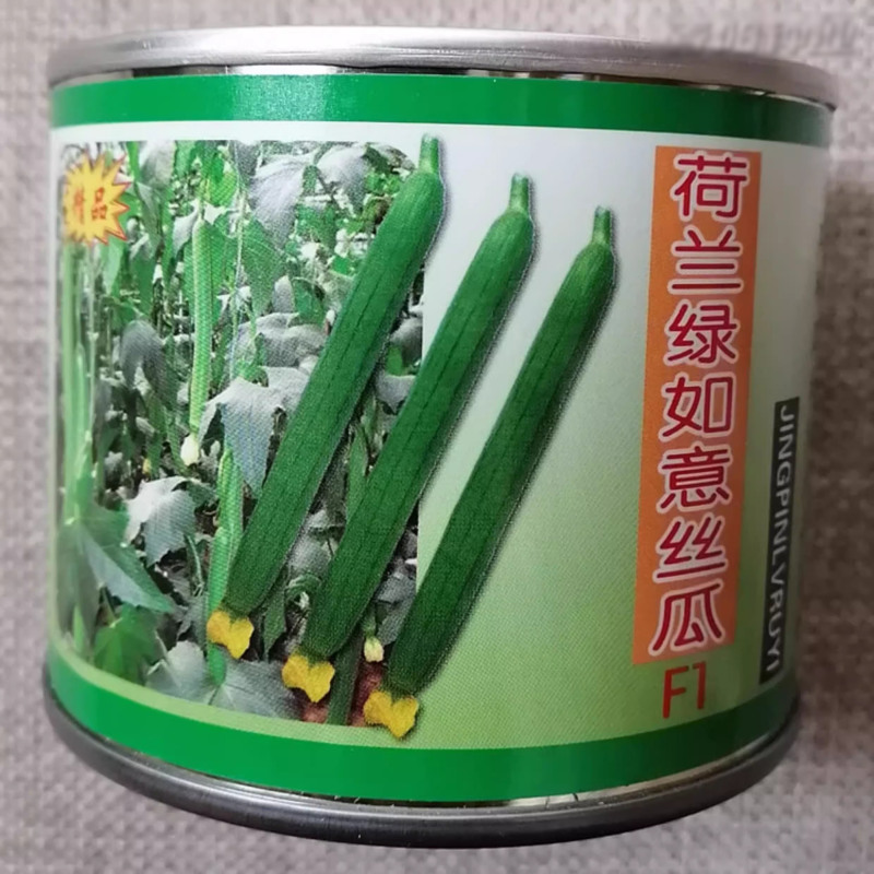 荷兰绿如意丝瓜种子杂交优质丝瓜种籽耐热耐寒抗病瓜条鲜绿