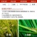 南通江山90%敌百虫水稻二化螟钻心虫可溶粉剂农用农资农药