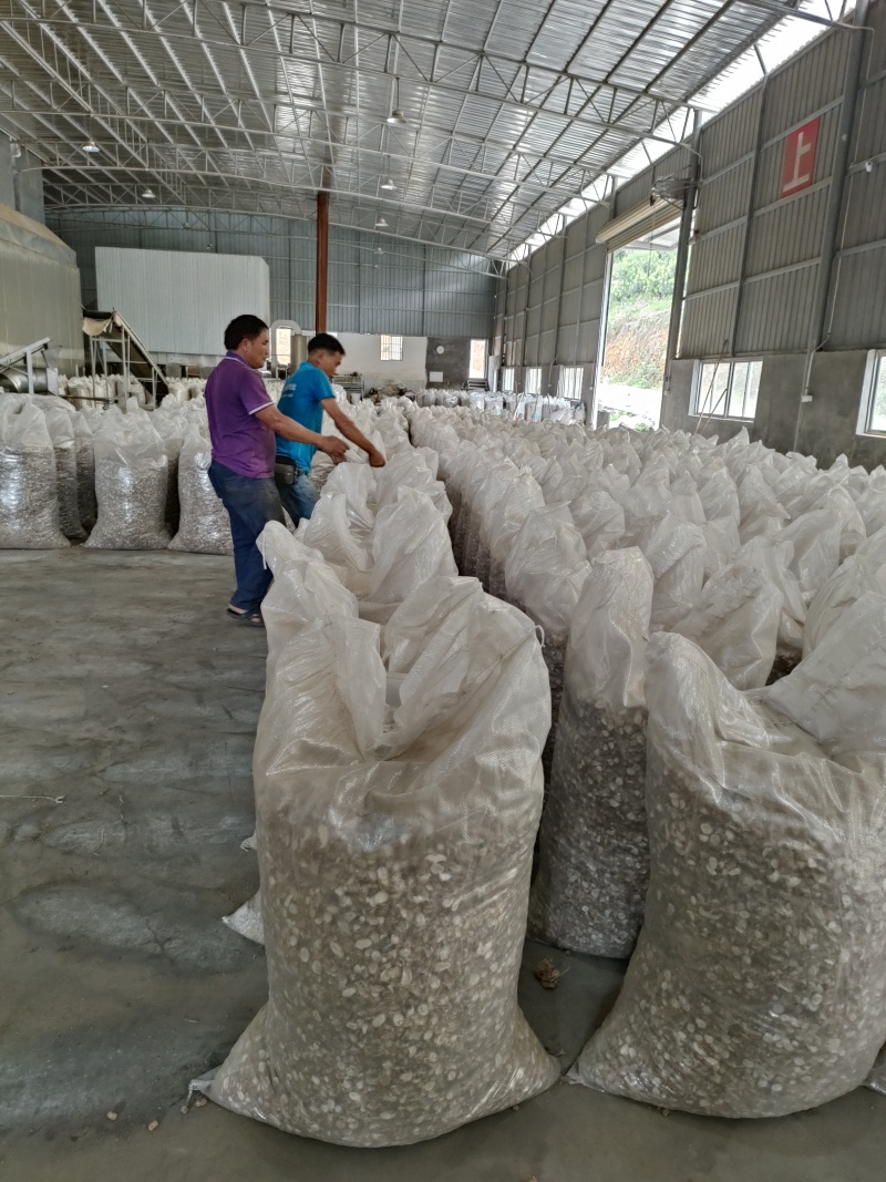无硫足干沙姜，正宗阳春双滘无硫沙姜，可视频看货，诚信经营