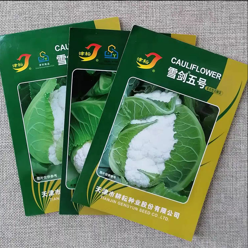 天津耕耘雪剑花椰菜种子杂交花菜紧实型菜花种籽早熟花球洁白