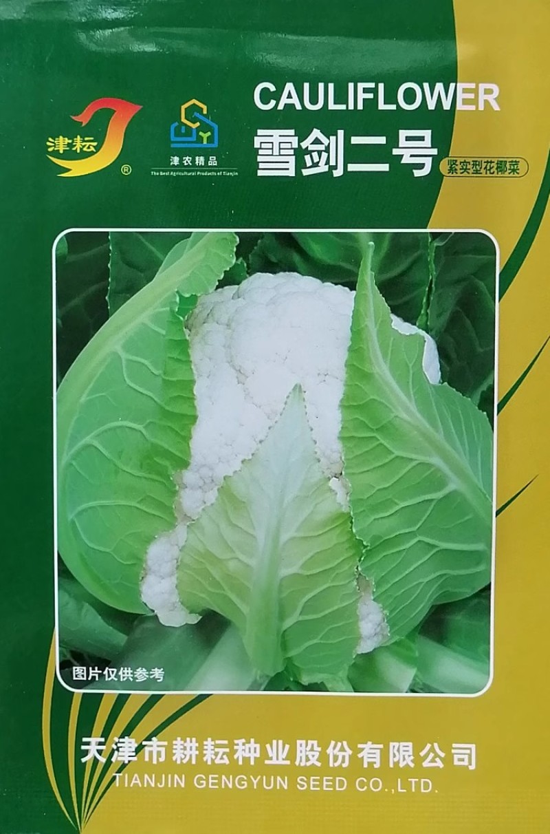 天津耕耘雪剑花椰菜种子杂交花菜紧实型菜花种籽早熟花球洁白