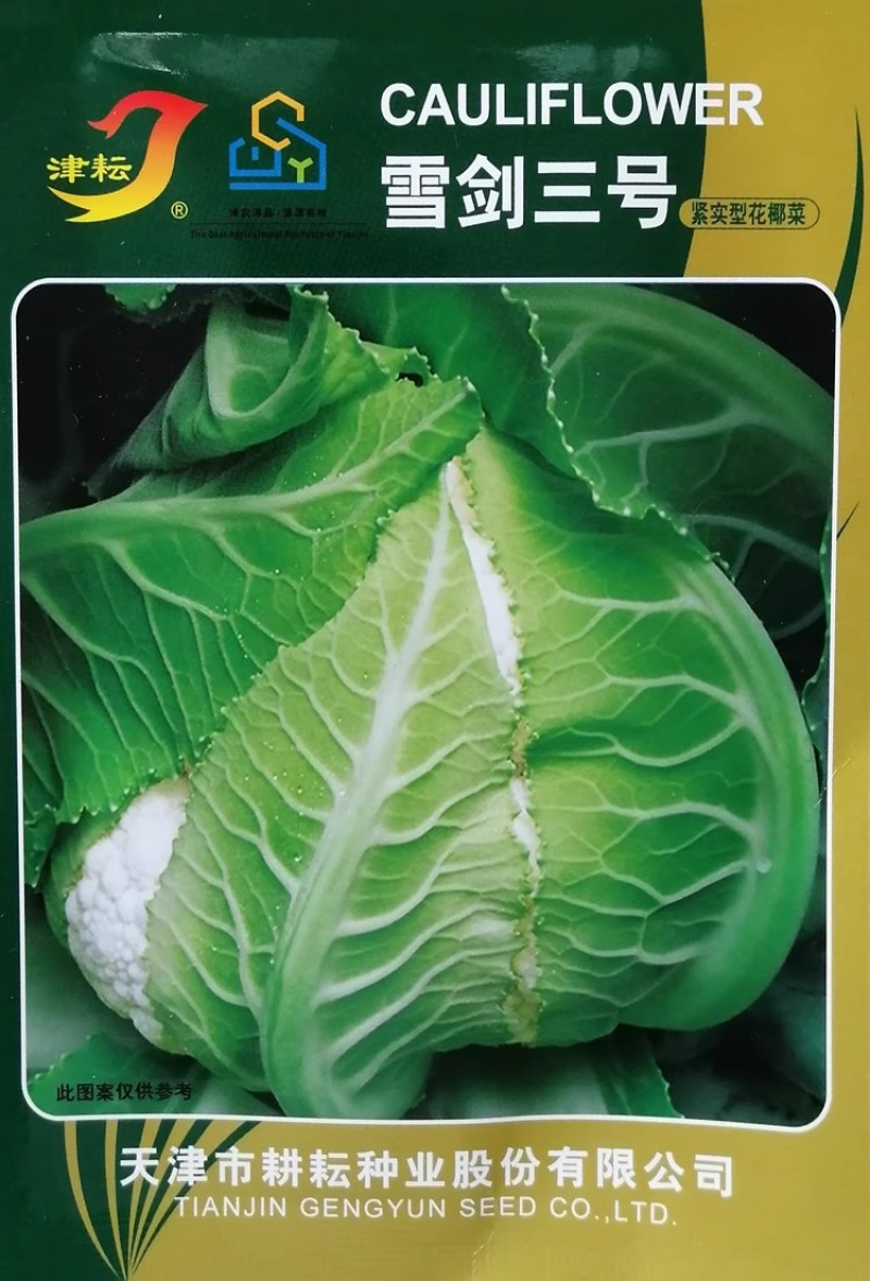 天津耕耘雪剑花椰菜种子杂交花菜紧实型菜花种籽早熟花球洁白