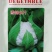 天津耕耘雪剑花椰菜种子杂交花菜紧实型菜花种籽早熟花球洁白