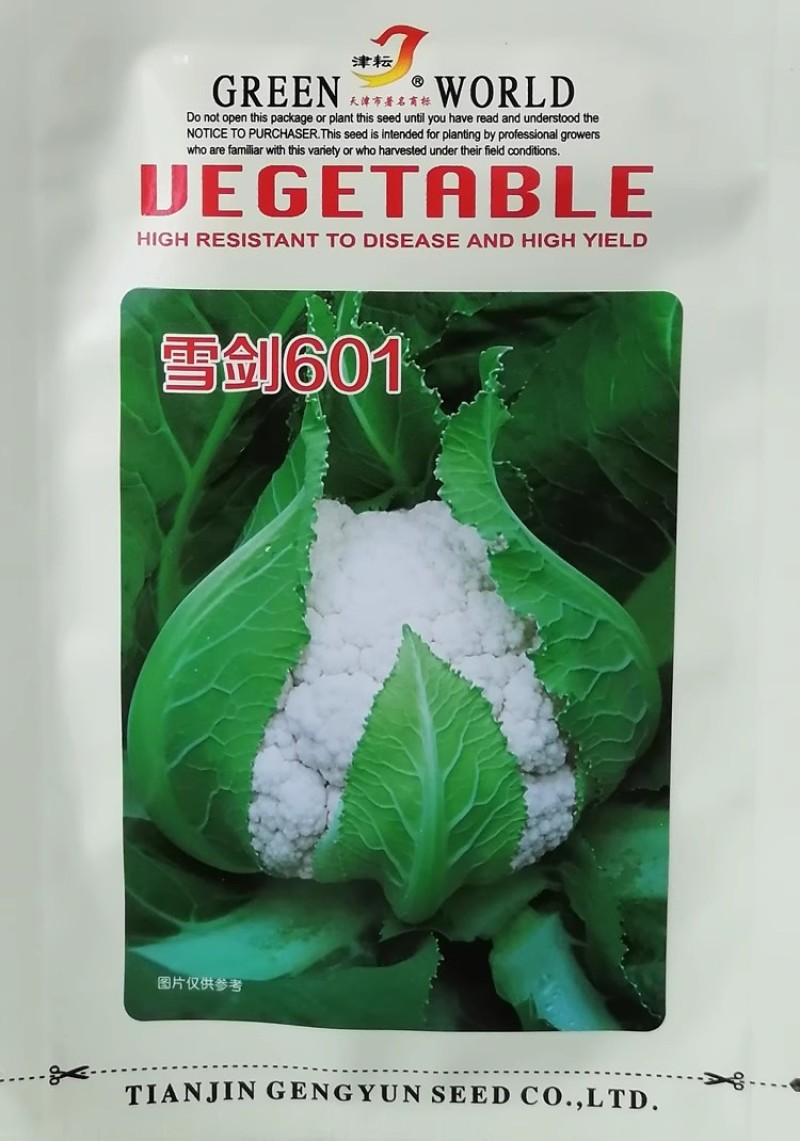 天津耕耘雪剑花椰菜种子杂交花菜紧实型菜花种籽早熟花球洁白