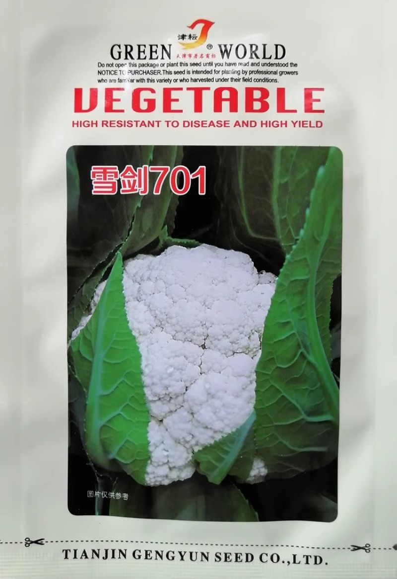 天津耕耘雪剑花椰菜种子杂交花菜紧实型菜花种籽早熟花球洁白