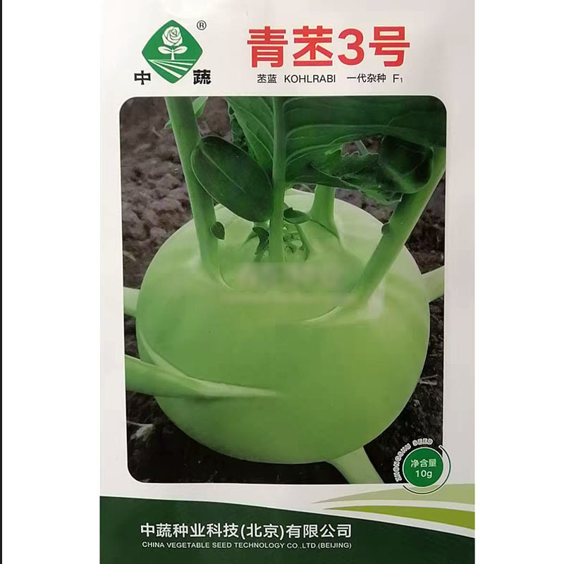 中蔬青丕3号青丕蓝种子农科院早熟高产水果丕兰种籽优良翠绿