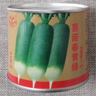 喜诺春青绿水果萝卜种子春季水果型青萝卜种籽抽苔晚皮薄质脆