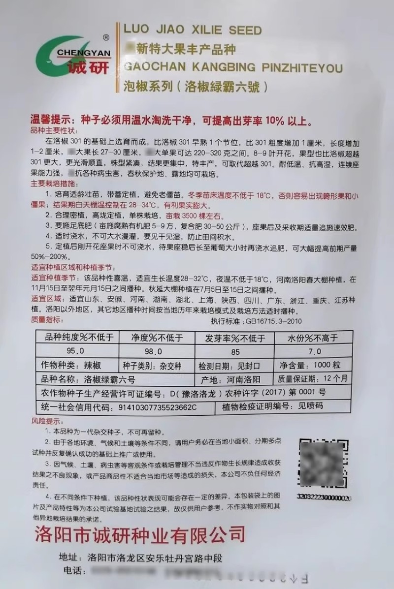 特大牛角椒种子洛椒绿霸六号大果型高抗病害大田高产