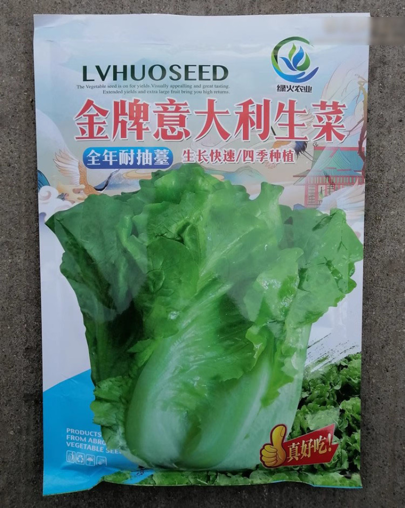 意大利耐抽苔生菜种子半结球生菜种籽大田基地用生菜品种