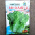 意大利耐抽苔生菜种子半结球生菜种籽大田基地用生菜品种