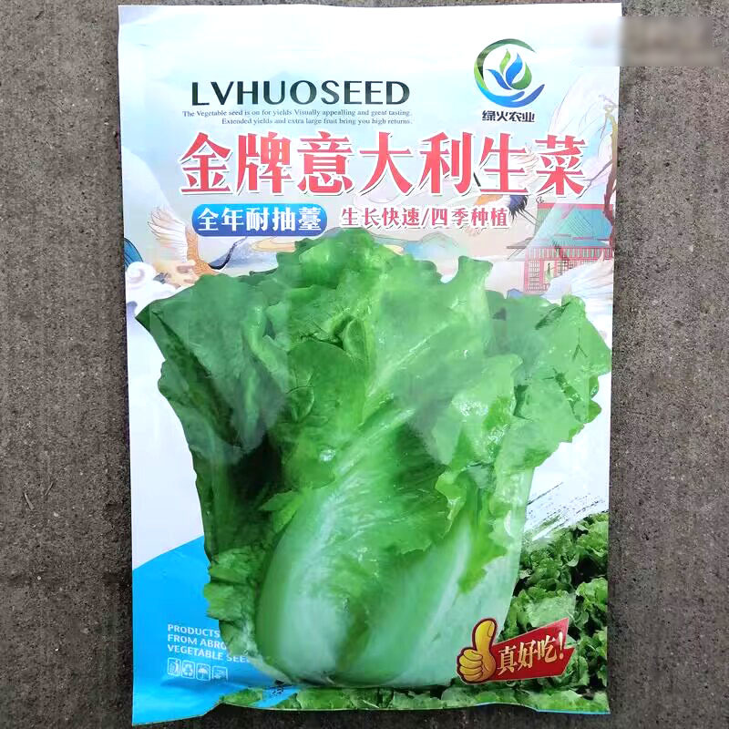 意大利耐抽苔生菜种子半结球生菜种籽大田基地用生菜品种